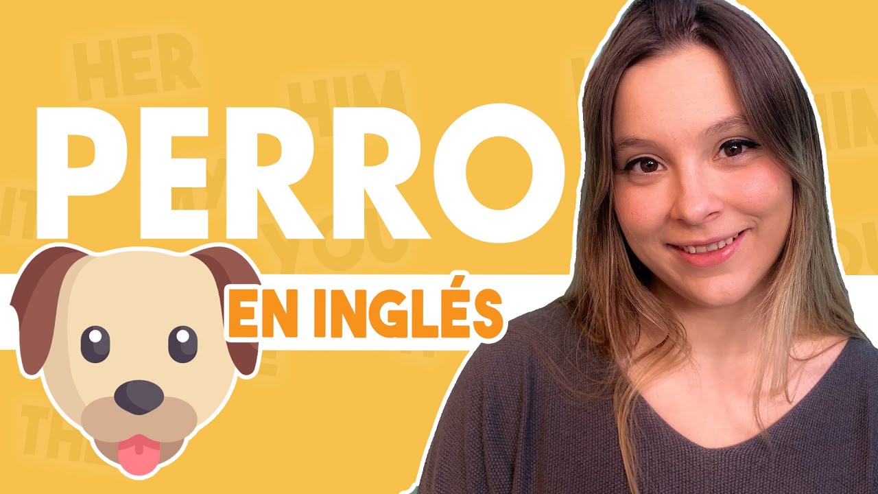 ¿Cómo le hace un perro en inglés? - Beagle Spain - Tu Web y Tienda de